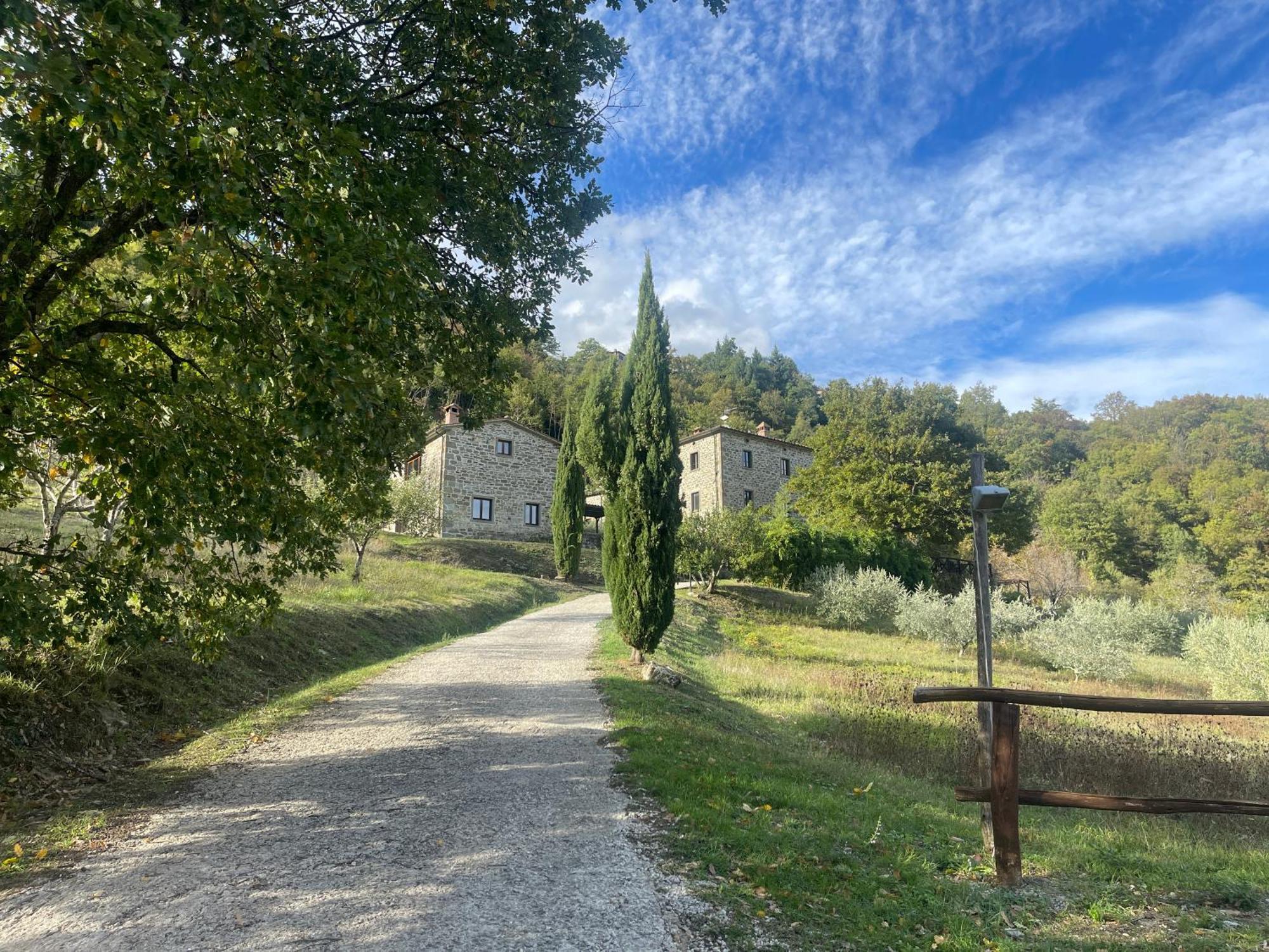 Bio Agriturismo Il Vigno Caprese Michelangelo Exterior photo
