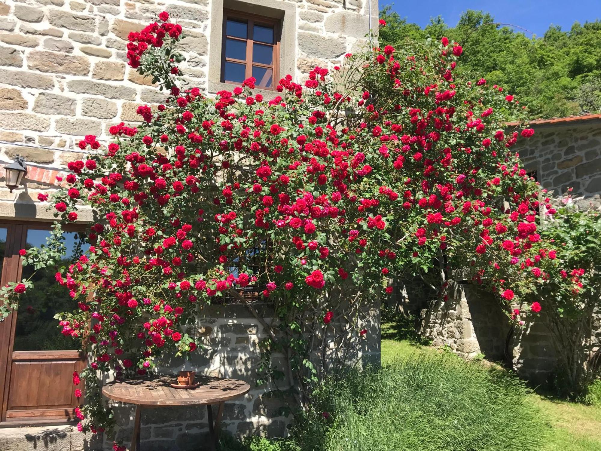 Bio Agriturismo Il Vigno Caprese Michelangelo Exterior photo