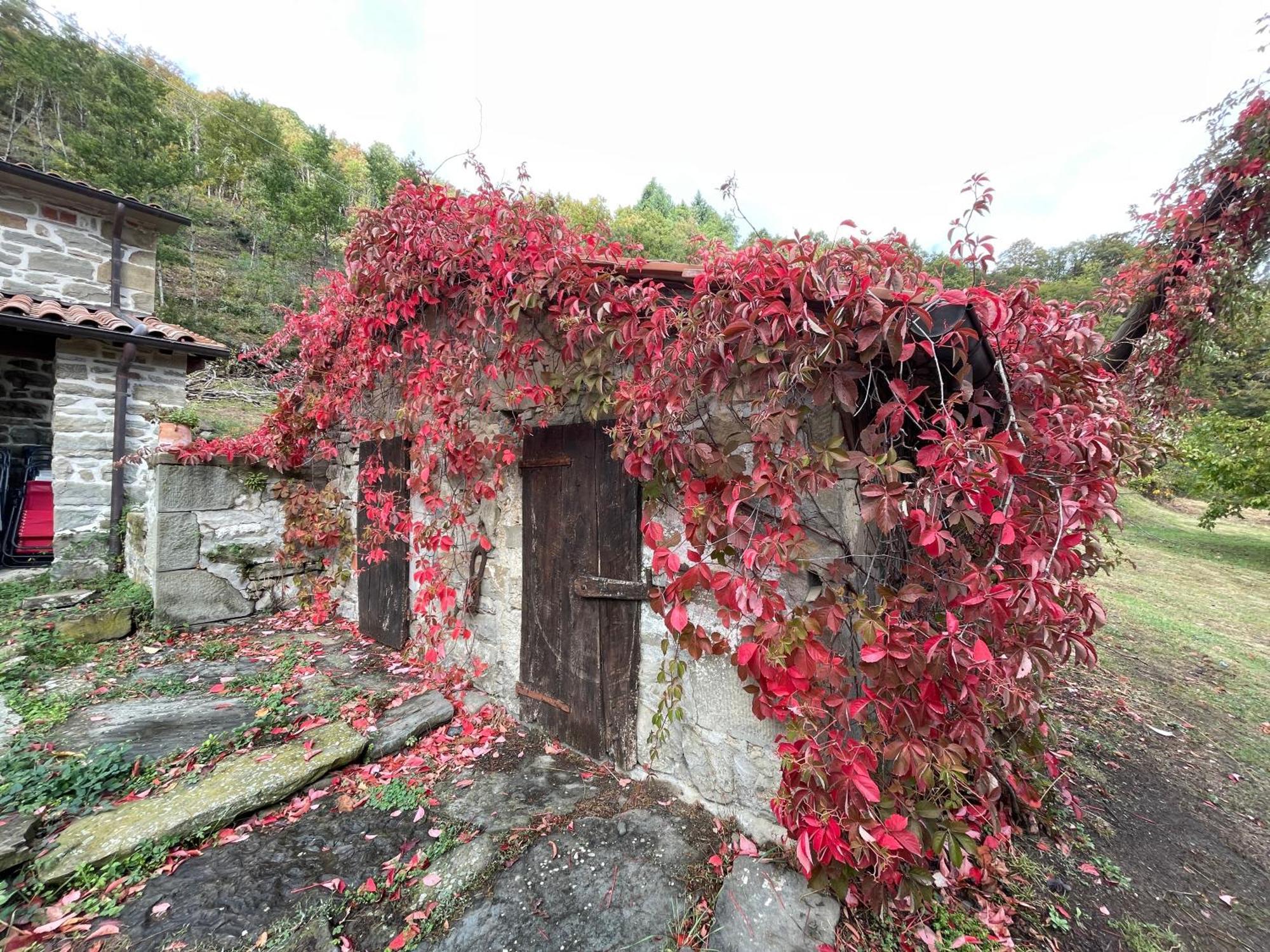 Bio Agriturismo Il Vigno Caprese Michelangelo Exterior photo